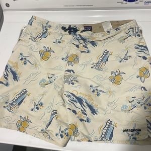 Mens Patagonia bathing suit. Perfect condition. Comfortable fit. Size 34.